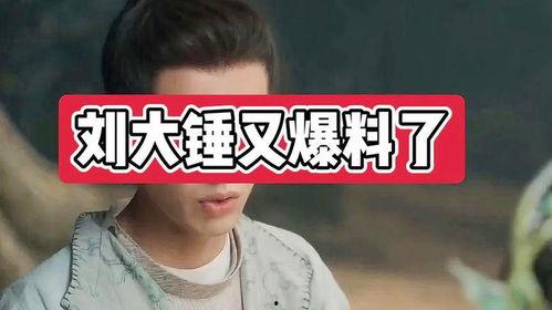 刘大锤9月份爆料视频,9月重磅爆料视频深度解析