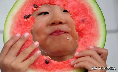 唐山花店吃瓜免费,吃瓜免费,共享夏日清凉时光 第3张 唐山花店吃瓜免费,吃瓜免费,共享夏日清凉时光 第3张